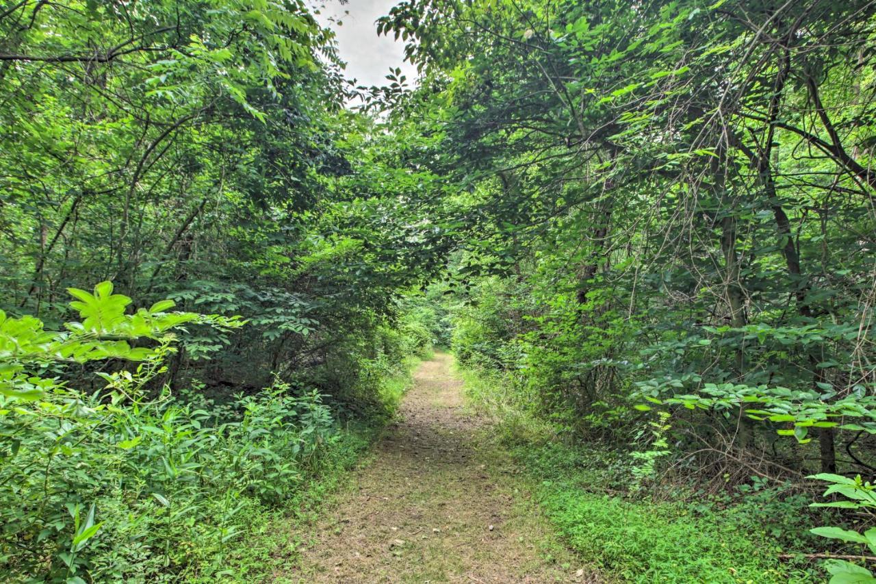 Secluded Stanardsville Cabin With 10 Acres And Hot Tub מראה חיצוני תמונה